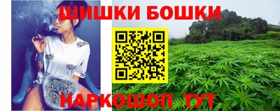 прущие грибы Комсомольск-на-Амуре